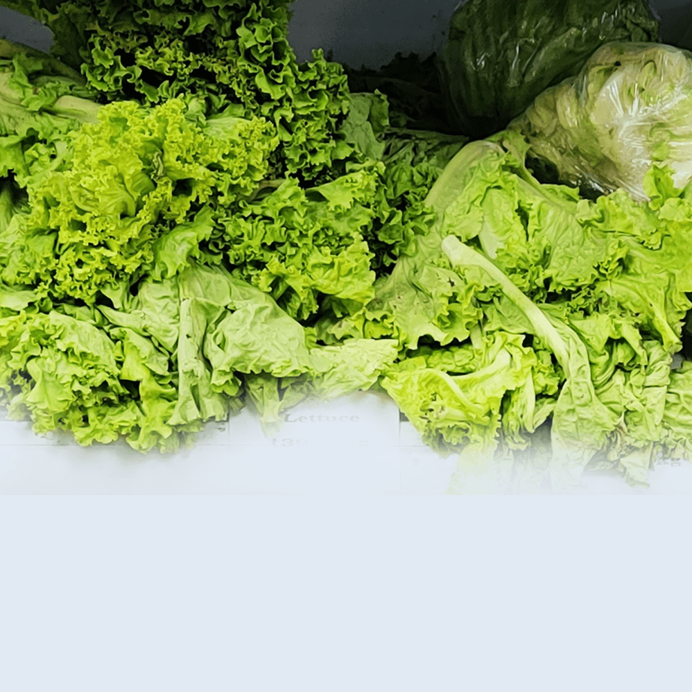 Say ‘no’ to travel weary veggies! - True Leaf Farms