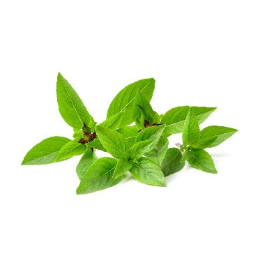 Thai Basil - True Leaf Farms