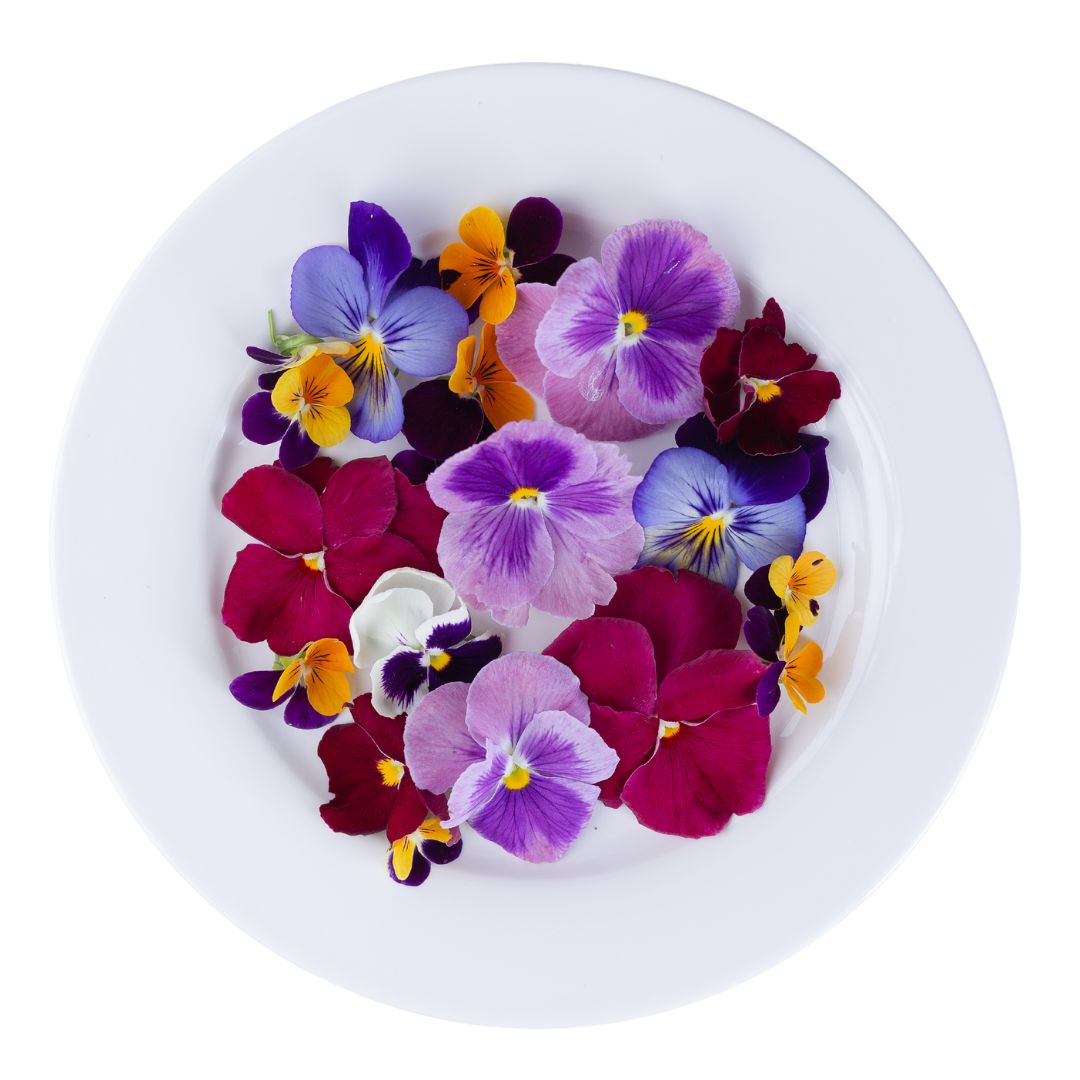 Edible Flowers Delivered to Delhi & Gurgaon True Leaf Farms