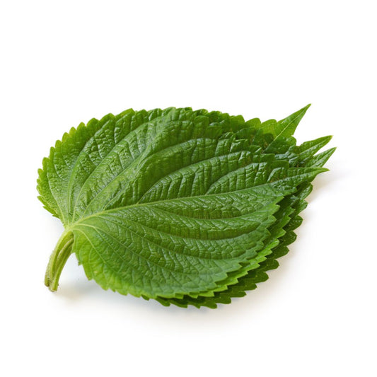 Perilla Leaves