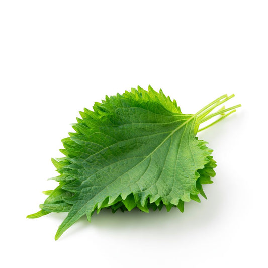 Shiso Leaves