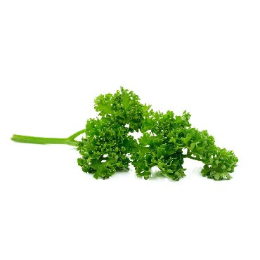 Freshly harvested Parsley from True Leaf Farms for your salads