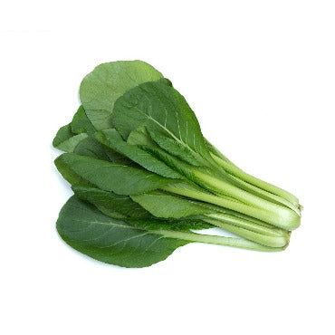 Komatsuna - Japanese Mustard Spinach - True Leaf Farms