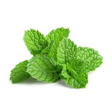 Mint - True Leaf Farms