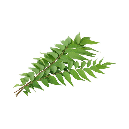 Curry Leaves