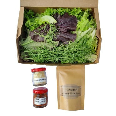 Salad Box Subscription