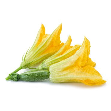 Zucchini Blossoms - True Leaf Farms